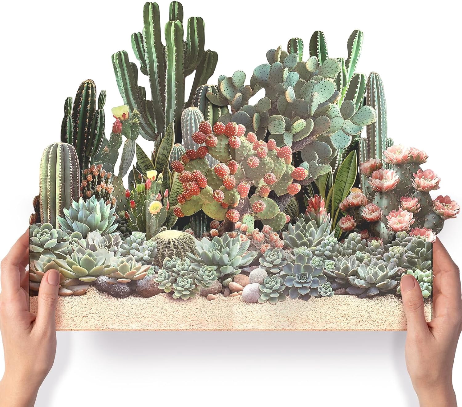 GREETING ART Cactus Garden Pop Up Card, 8.9 Cm Paper House - View #8