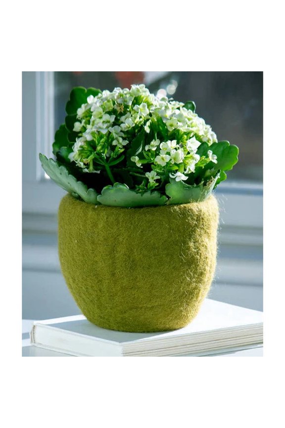 handmade 4 Inch Moss Felt Planter