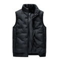 thumbnail image 1 of dzxyzu Men's Outerwear Vest Outdoor Stand Collar Jacket Vest Casual Padded Vest Coats Full-Zip Sleeveless Cargo Jacket Photography Sports Golf Waistcoat Coat for Travel Hiking Running - Black, 1 of 8