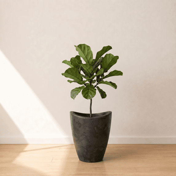 eCOBO 15.7 inches Eco-Friendly Round Pot Planter Onda Indoor/Outdoor use, Durable, Versatile & Lightweight, Designed by Brazilian Artisans, Contemporary All-Weather Design –Black