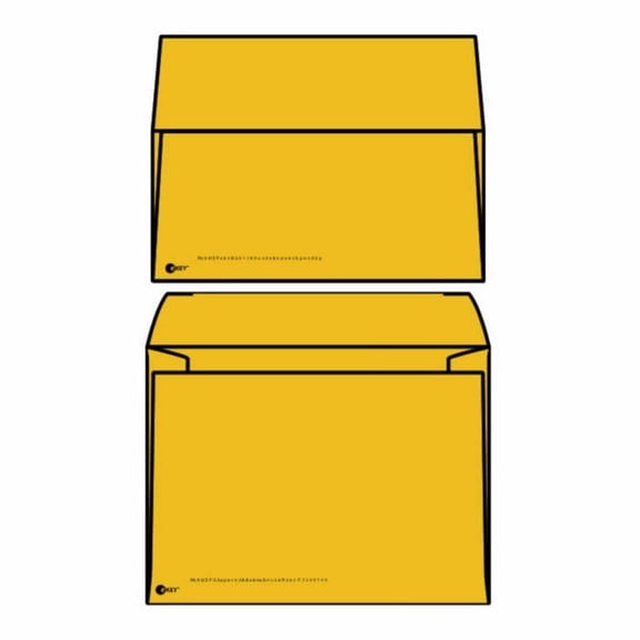 eKEY Multimedia Mailer Envelopes, 6" x 8" Roptex eKEY Multimedia Mailer, Outer Envelope with Open Side, CD / DVD Insert (Box of 500)