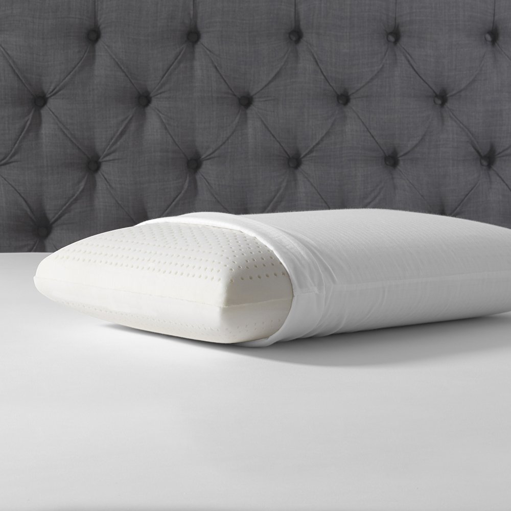 eLuxury Natural Latex Foam Bed Pillow with Cover, Queen