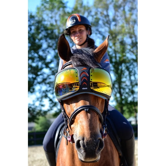 eQuick eVysor mirrored orange