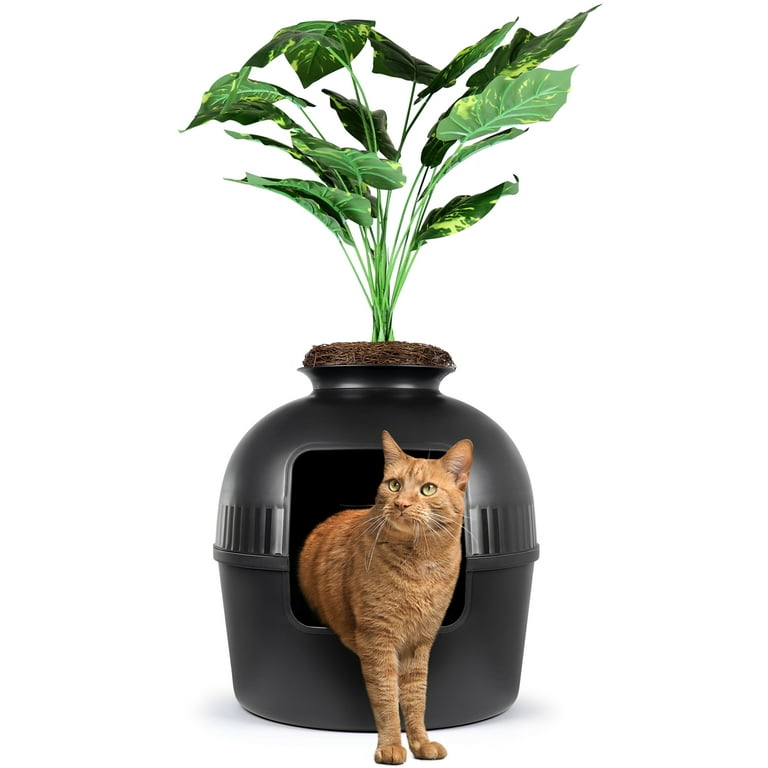 Black litter box deals