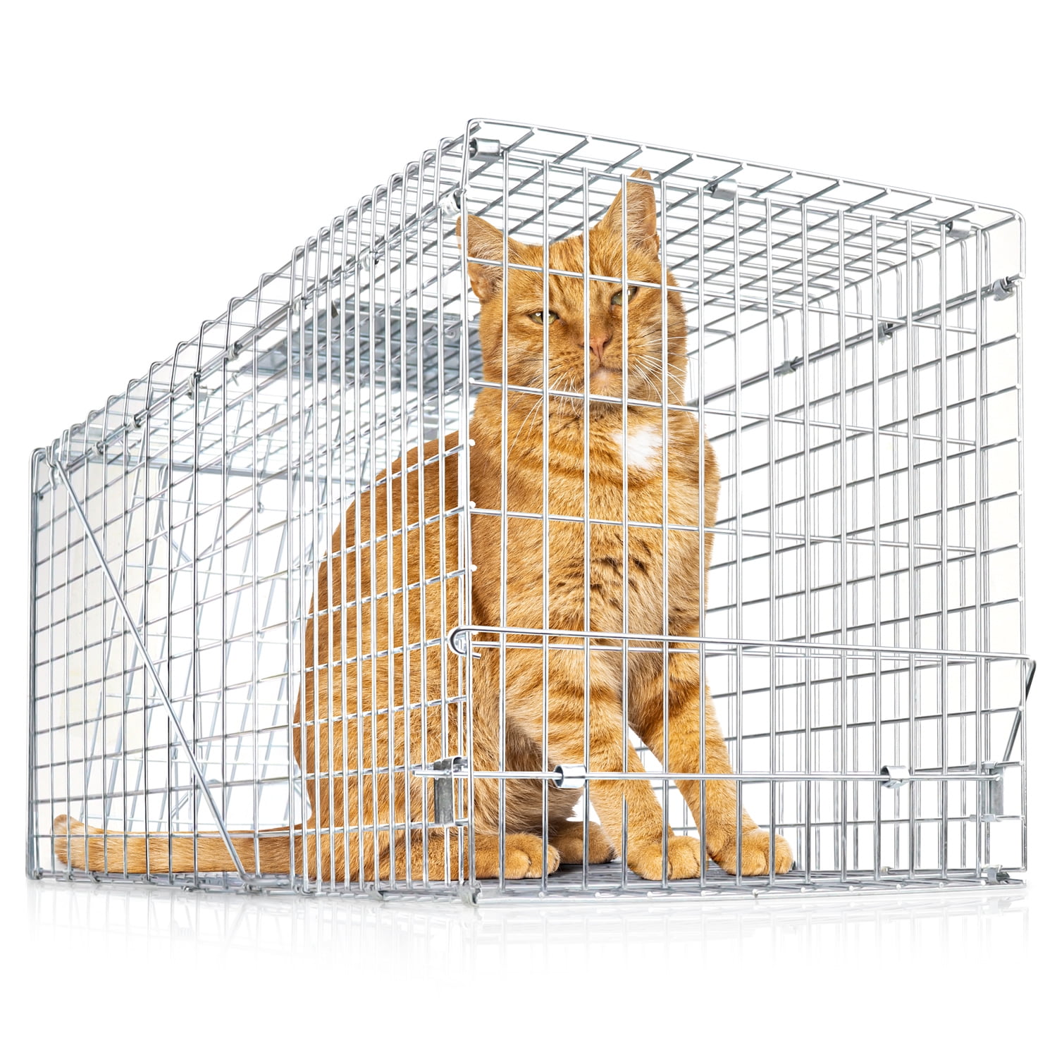 eXuby Large Cat Trap for Stray / Feral Cats & Other Animals 31"x12"x13” Catch them Live