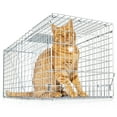 thumbnail image 1 of eXuby Large Cat Trap for Stray / Feral Cats & Other Animals - 31"x12"x13” - Catch them Live & Relocate - Extra Large 8.5" Trigger Platform - Also for; Racoon, Rabbit, Possum, Skunk, Bobcat, Squirrel, 1 of 7