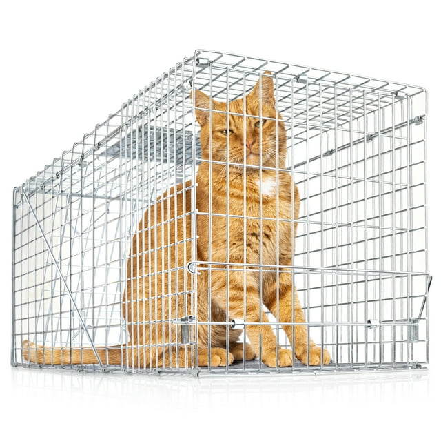eXuby Large Cat Trap for Stray / Feral Cats & Other Animals - 31"x12