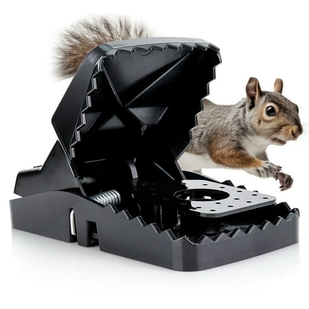 eXuby Squirrel Trap (2 pack) - Consistent & Humane Kill Every Time - No Failures - Powerful & Deadly Spring - 5" Large Opening - 96% Instant Kill - For Attic, Garden, Forest &more -Reusable -Easy Setu