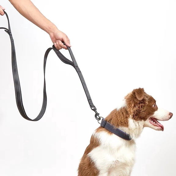 Dog Leash Heavy Duty for Large Dogs, 6FT Double Handle Dog Leash for Traffic Control, Black