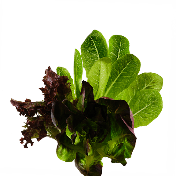 edn SmallGarden Lettuce Mix SeedPods - 10 Pack