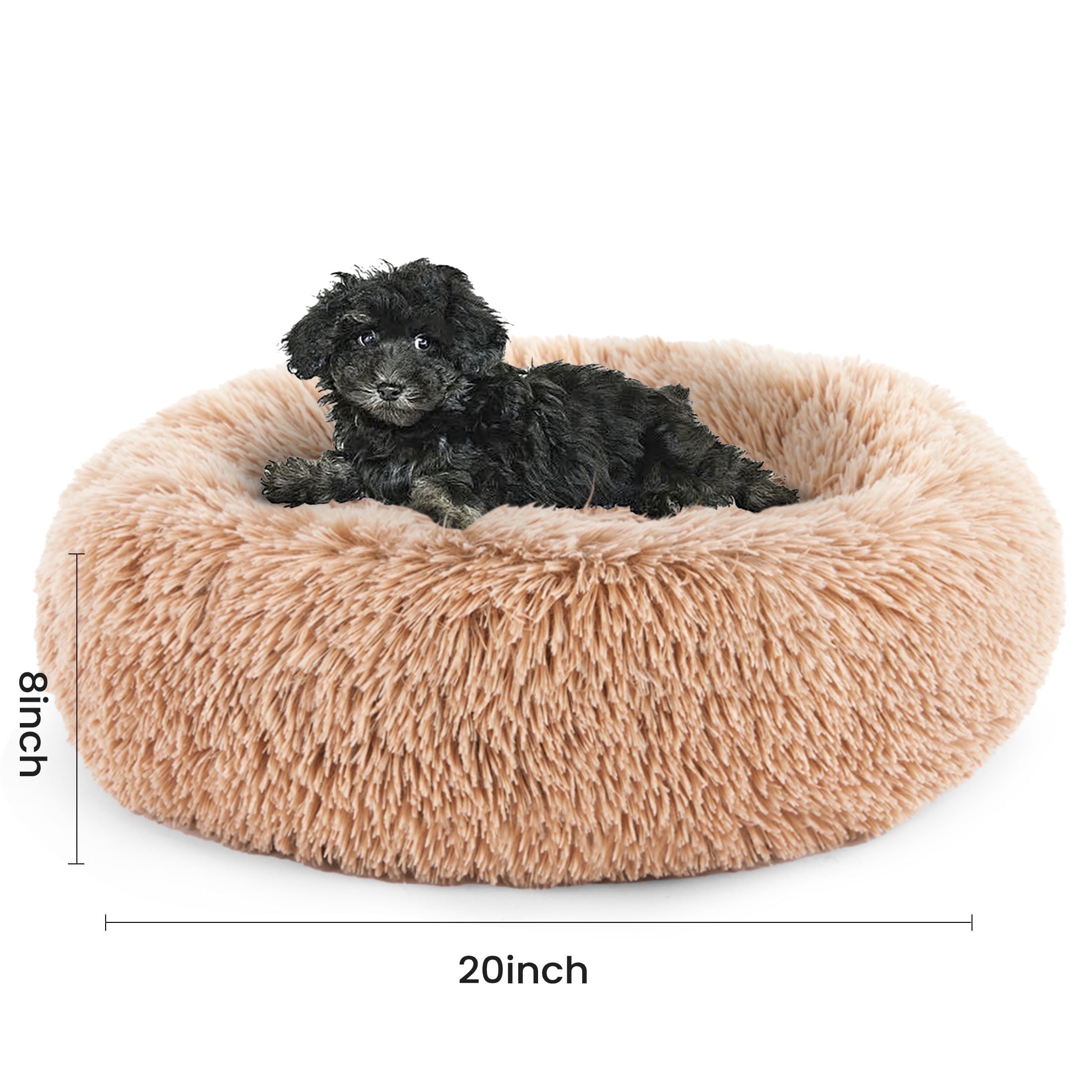 fluffy beds for dogs