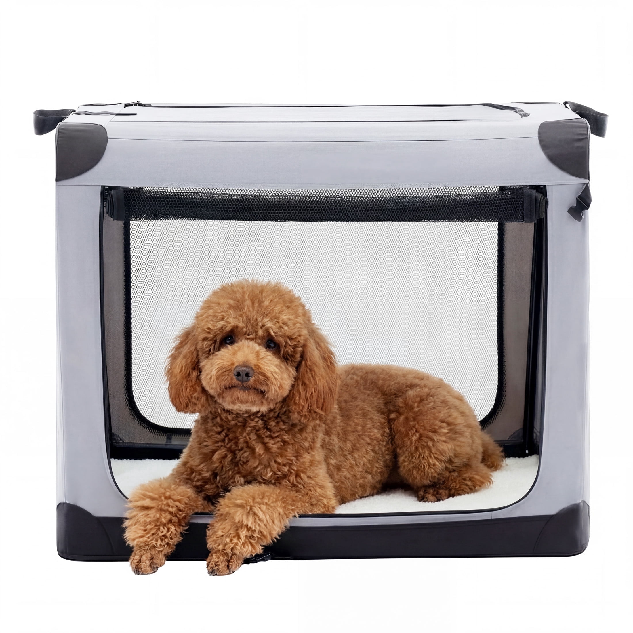 edx 24 Inch Portable Foldable Dog Crate for Small Dog, 3-Door Soft Pet ...