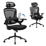 edx Ergonomic Office Chair, Mesh Computer Desk Chair with Lumbar Support, 275lb, Black