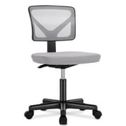 edx Home Office Desk Chair, Armless Mesh Computer Chair Small Space Swivel Adjustable Low Back Task Chair for Teens/Adults, Grey