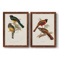 thumbnail image 1 of Elegant Trogons III - Premium Framed Canvas 2 Piece Set - Ready to Hang, 1 of 7