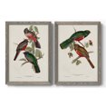 thumbnail image 1 of Elegant Trogons V - Premium Framed Canvas 2 Piece Set - Ready to Hang, 1 of 7