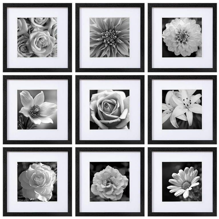 Contemporary, Gallery Black Picture Frame, 12x12 Inch, White Mat