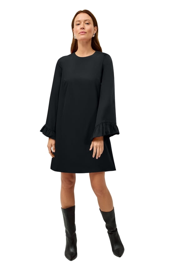 Plus Size Long Ruffle Sleeve A-Line Dress