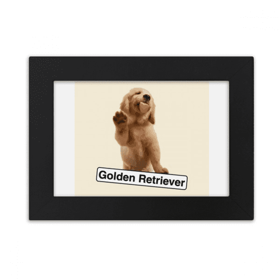 en retriever pet pose desktop photo frame ornaments picture art painting