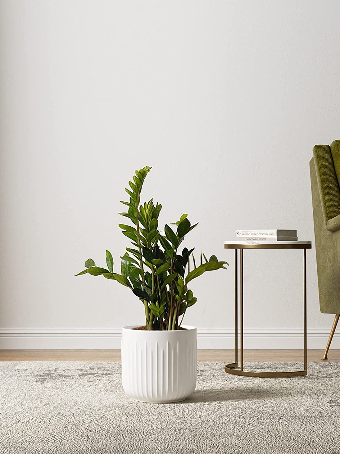 enshijinzi Ceramic Planters, Set of 3 Plant Pots for Indoor Plants, 8.3 ...