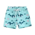 thumbnail image 1 of enyan Swim Trunks Hawaiian Bathing Mesh Lining Suit Swimsuits Beach Shorts with Pockets,Mint Green,6-12 Months, 1 of 4