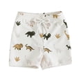 thumbnail image 1 of enyan Swim Trunks Quick Dry Swim Shorts with Mesh Lining Funny Swimwear Bathing Suits,White,12-18 Months, 1 of 4