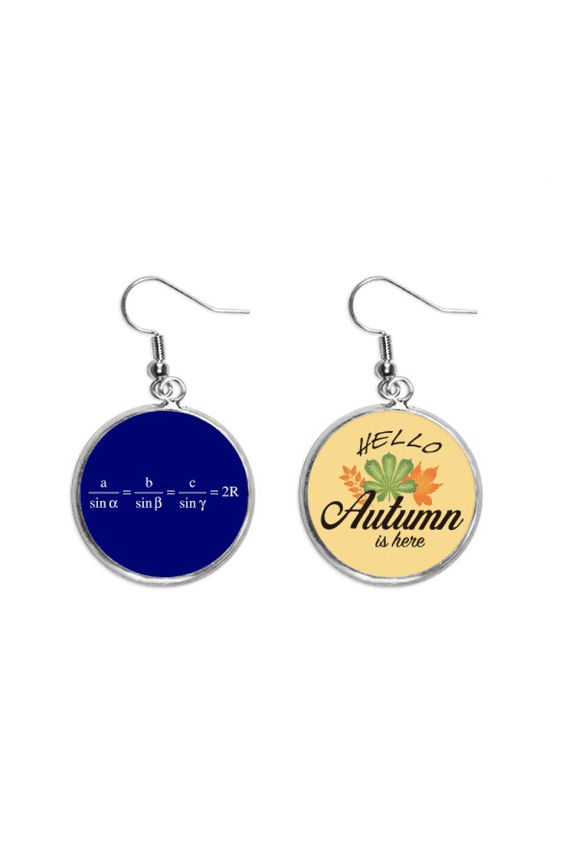 equal expression calculation mathematical formulas earring dangle autumn earring jewelry
