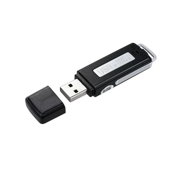 erfcxs 8GB Portable USB Disk Audio Voice Recorder