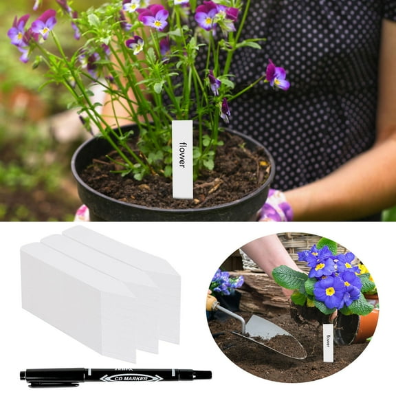 erfcxs Durable Write-On Card Slot Labels for Versatile Organization and Identification Pack of 100