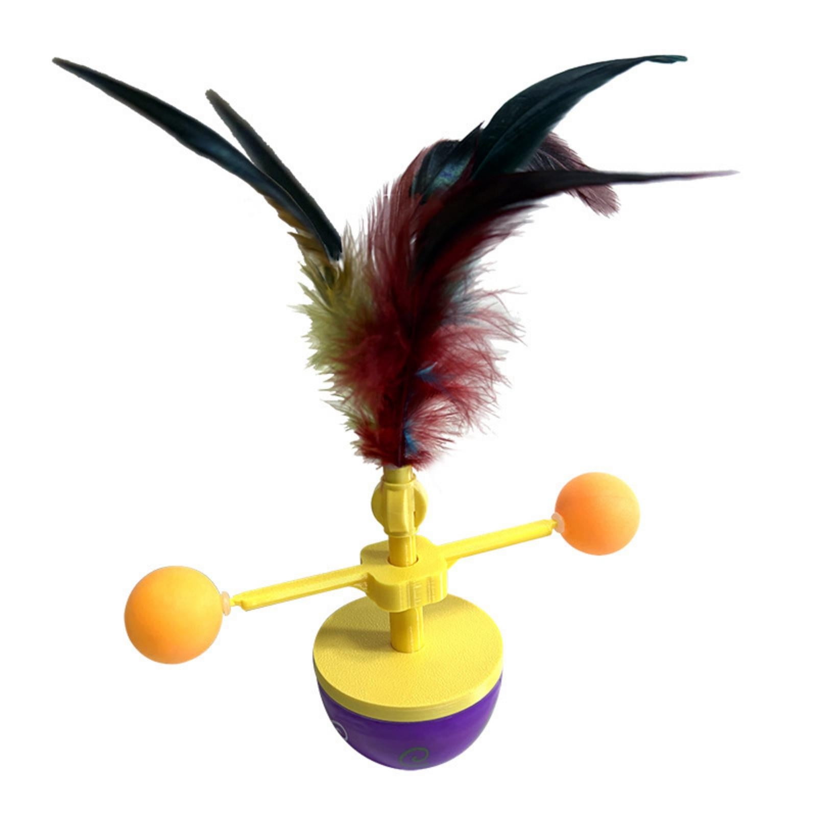 Cat Stimulation For Mental Stimulation Reference: Erfcxs Interactive Cat For Indoor Play Stimulation And Mental Exercise