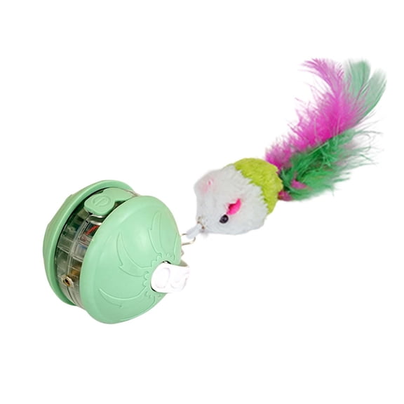 erfcxs Interactive Cat Toy with Voice Alert Lost Infrared Feather Head Detachable Design for Indoor Outdoor Play