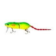 thumbnail image 1 of erfcxs Realistic 3D For Trout & Catfish Fishing For Freshwater & Saltwater, 1 of 4