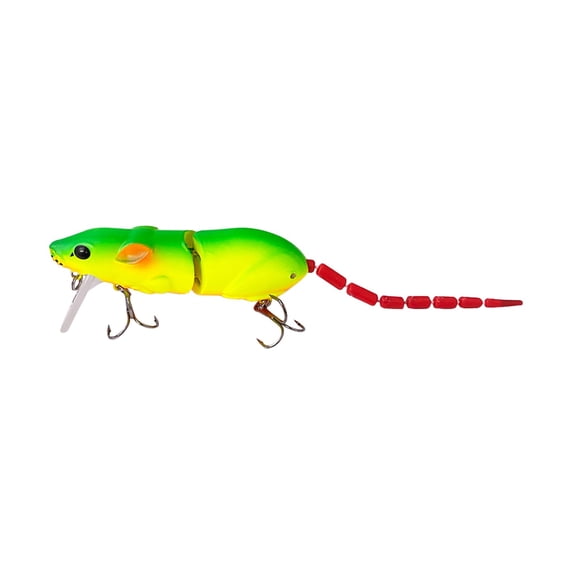 erfcxs Realistic 3D For Trout & Catfish Fishing For Freshwater & Saltwater