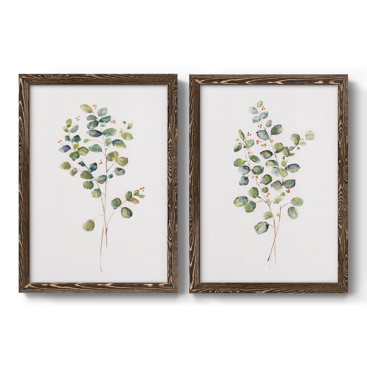 Eucalyptus I - Premium Framed Canvas 2 Piece Set - Ready to Hang
