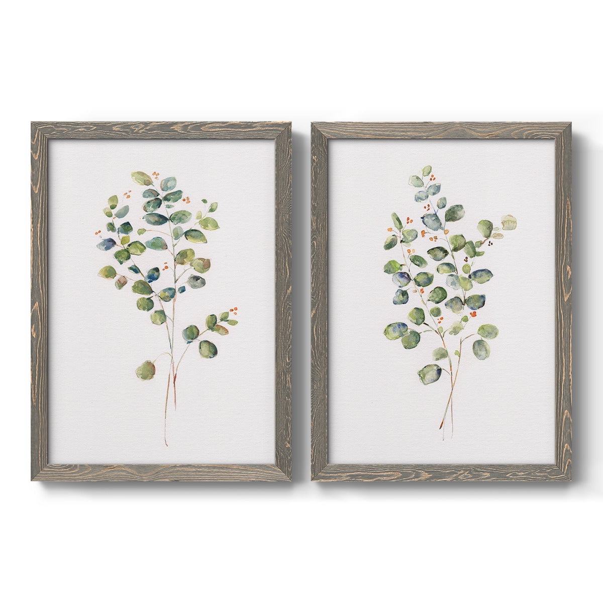 Eucalyptus I - Premium Framed Canvas 2 Piece Set - Ready to Hang