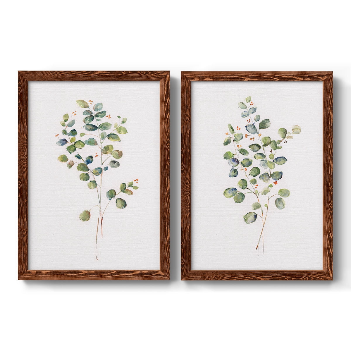 Eucalyptus I - Premium Framed Canvas 2 Piece Set - Ready to Hang