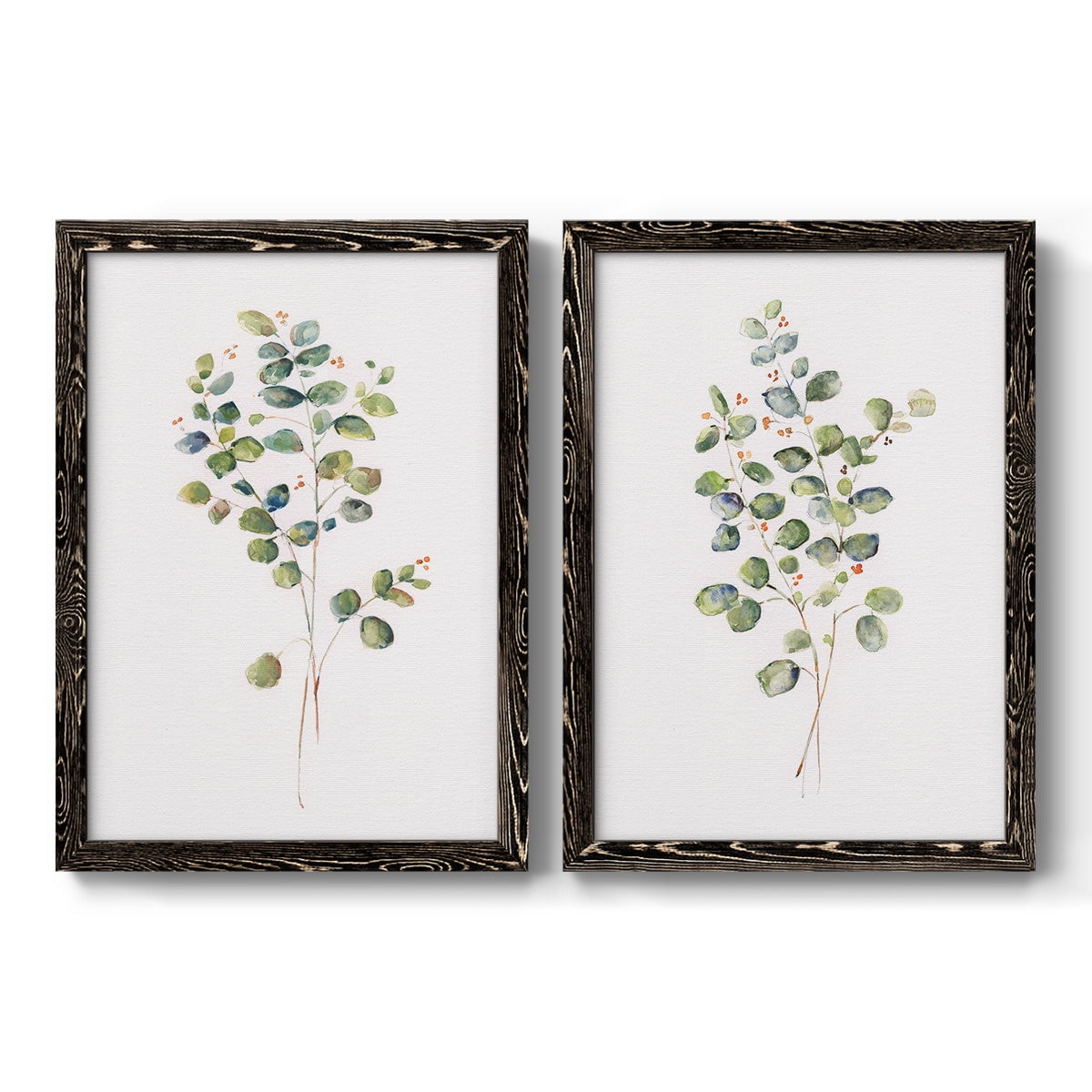 Eucalyptus I - Premium Framed Canvas 2 Piece Set - Ready to Hang