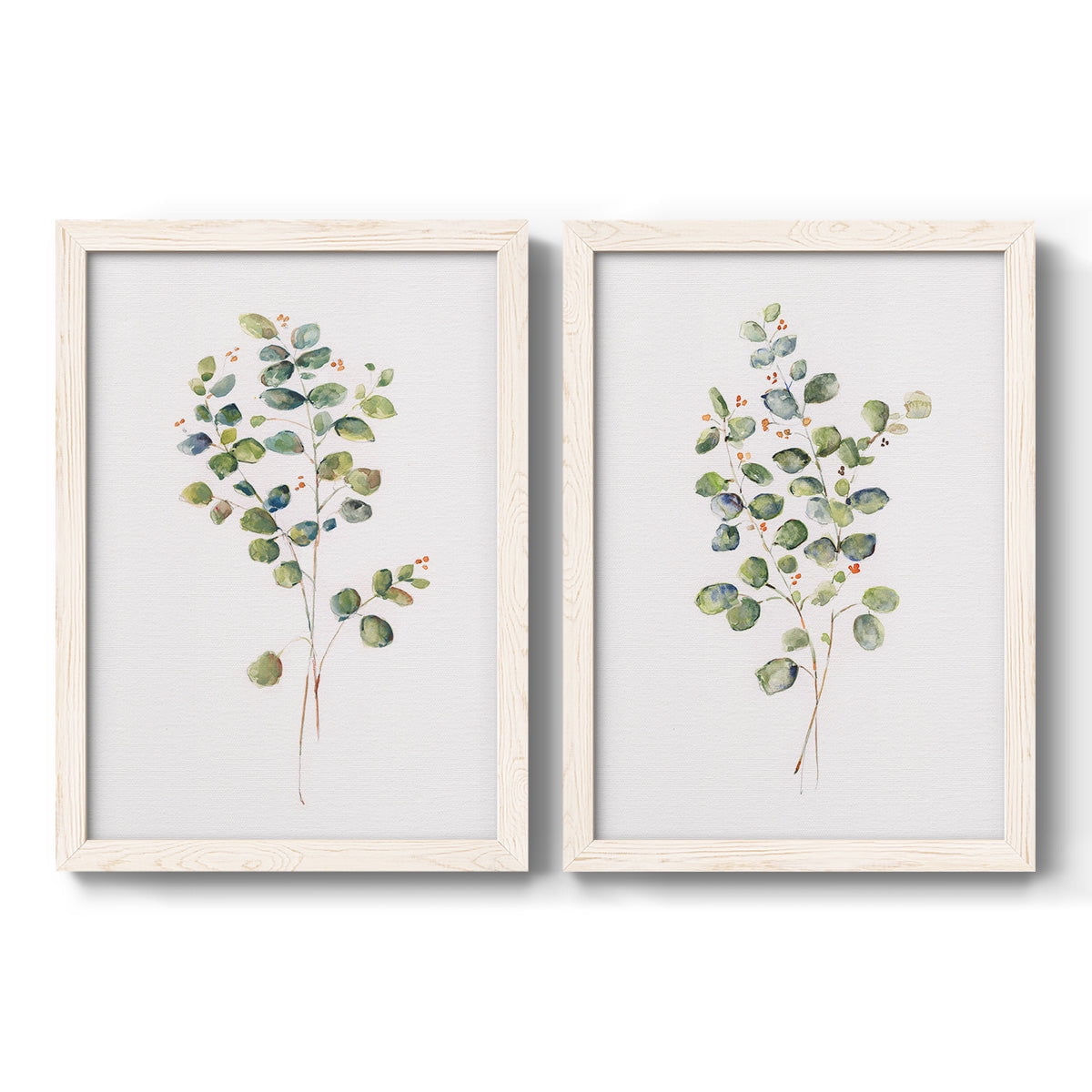 Eucalyptus I - Premium Framed Canvas 2 Piece Set - Ready to Hang