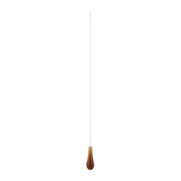 2 Pcs Performance Concert Resin Part Orchestra Conductor Wand Music ...