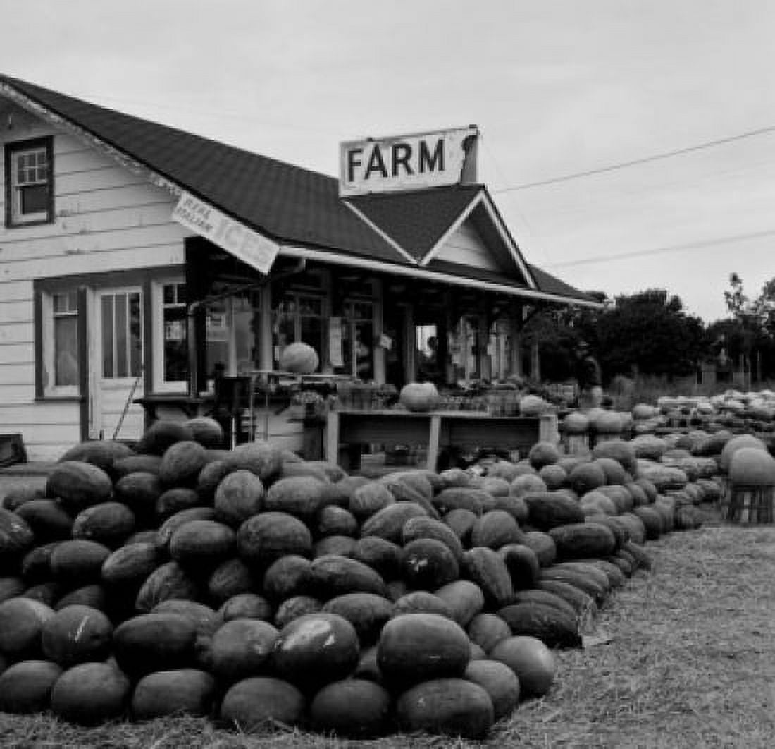 farmers Market for fruit and vegetables Canvas Art -  (18 x 24)