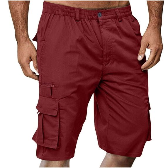 fartey Men Shorts Cargo Shorts Baggy Comfy Multiple Pockets Knee Length Long Shorts with Zipper Botton Elastic Waist Shorts Casual Outdoors Regular Fit Short