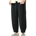 thumbnail image 1 of fartey Mens Plus Size Wide Leg Pants With Pockets Elastic Waist Trousers Pleated Loose Casual Hippie Yoga Beach Long Pants, M-5XL, 1 of 6