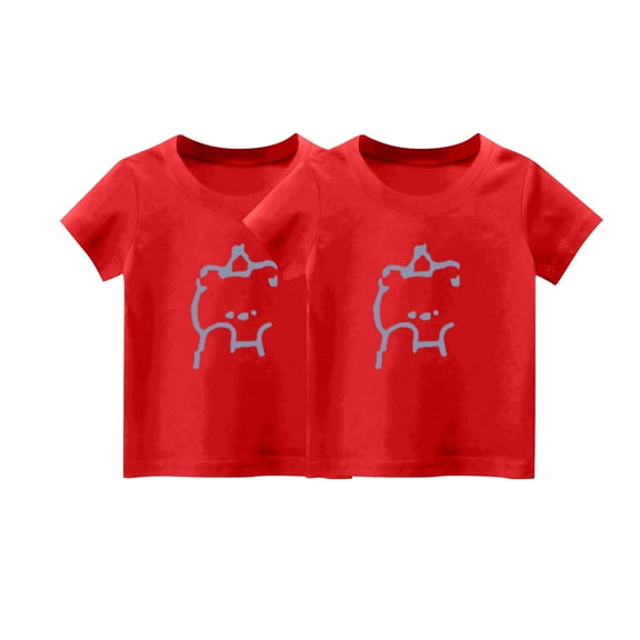 fatyb Boys Girls 2 Pack Graphic Tees Tops Crewneck Cotton T-Shirts Short Sleeve Kids Summer T Shirts
