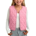 thumbnail image 1 of fatyb Boys Girls Puffer Vest Button up Sleeveless Quilted Jackets Kids Fall Winter Thermal Outerwear, 1 of 6