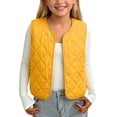 thumbnail image 1 of fatyb Boys Girls Puffer Vest Button up Sleeveless Quilted Jackets Kids Fall Winter Thermal Outerwear, 1 of 6