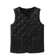 thumbnail image 1 of fatyb Fall Winter Vest for Women Sleeveless V Neck Outerwear Button down Womens Thermal Jacket with Pockets, 1 of 4