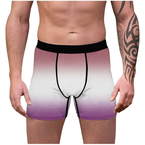 fatyb Men's Boxer Briefs Gradient Print Stretch Underwear Comfortable Boxers Breathable Underpants for Men