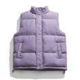 thumbnail image 1 of fatyb Men's Quilted Vest Sleeveless Padded Jacket Casual Stand Collar Mens Warm Outerwear with Pockets, 1 of 6