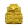 thumbnail image 1 of fatyb Quilted Vest for Kids Warm Sleeveless Boys Girls Casual Stand Collar Padded Jacket with Pockets, 1 of 4