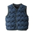thumbnail image 1 of fatyb Toddler Boys Girls Padded Vest Sleeveless Lightweight Winter Coat V Neck Button up Down Jacket, 1 of 5
